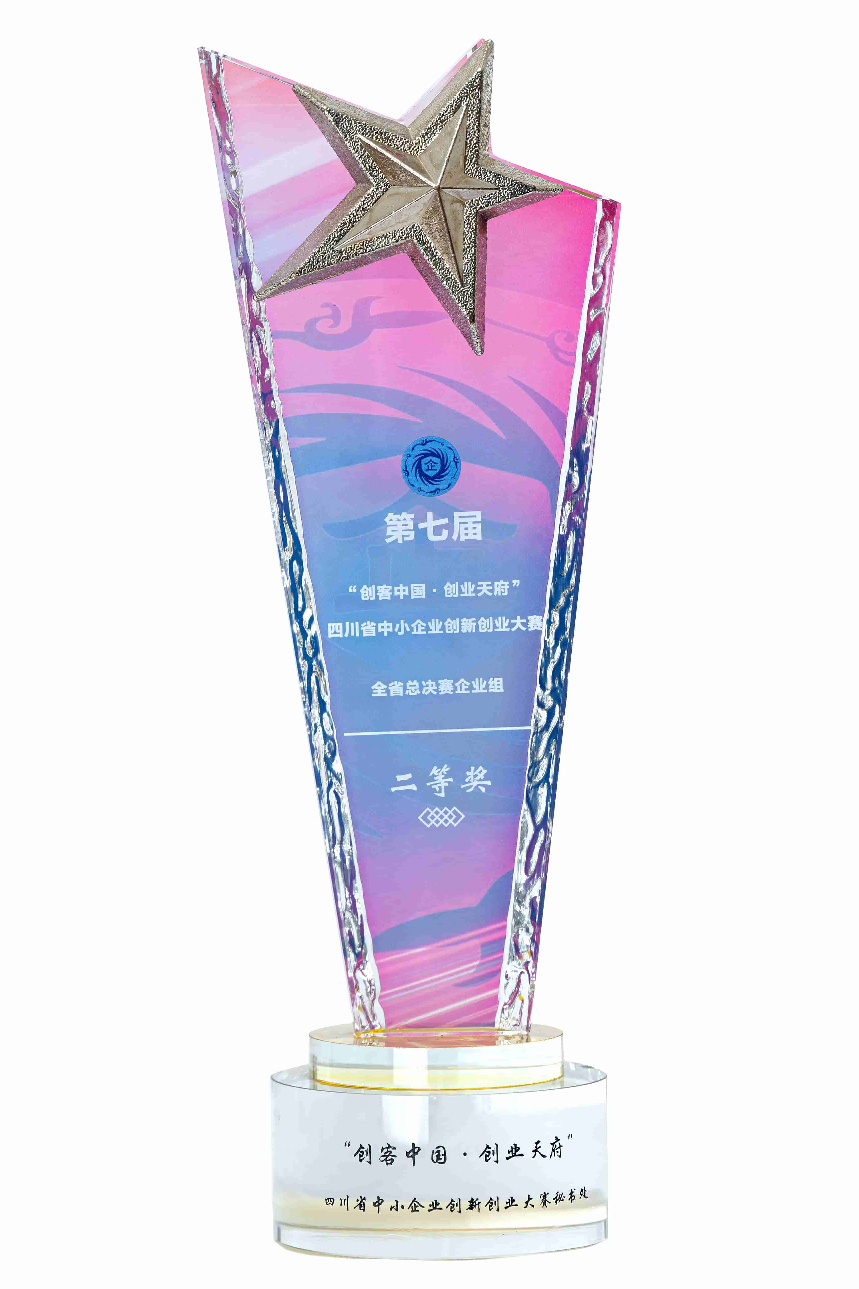  四川省中小企业创新创业大赛二等奖